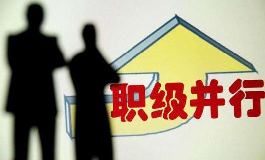 非领导职务转为职级公务员后，待遇有何不同？